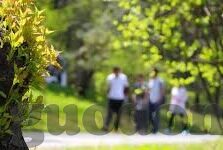 麻豆91色在线影院-麻豆91色在线影院带来的启示与影响——了解不当娱乐平台的选择与后果