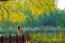 天堂网av2018中文字幕-探索网络世界的多元文化，从天堂网AV2018中文字幕谈起
